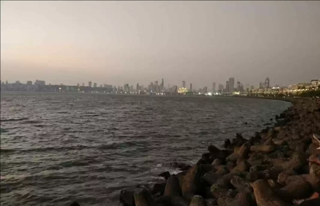 Photo of Stars are Fallen in 