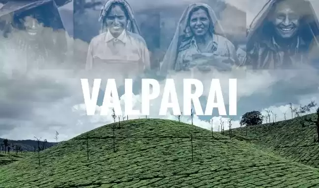 Photo of तमिलनाडु के वलपराई क