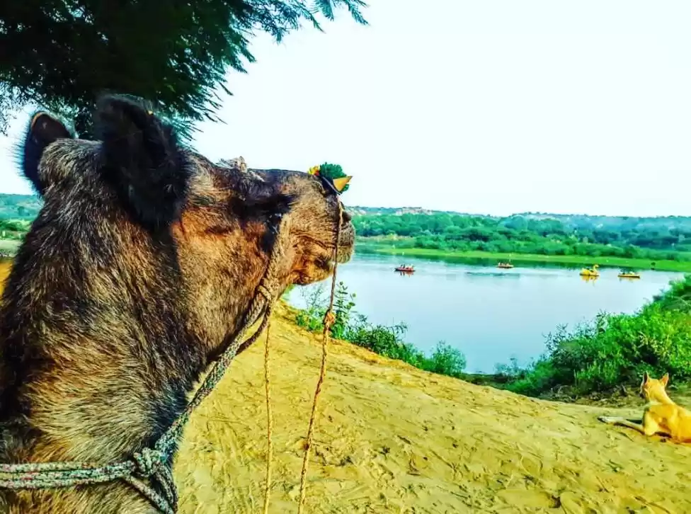 Photo of हरियाणा में इको टूरि