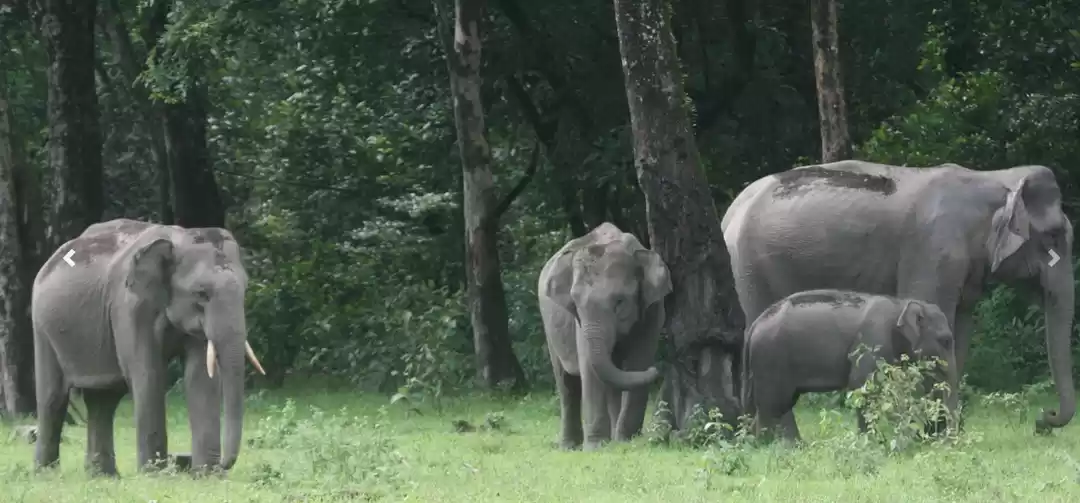 Photo of भारत में कौन से हैं