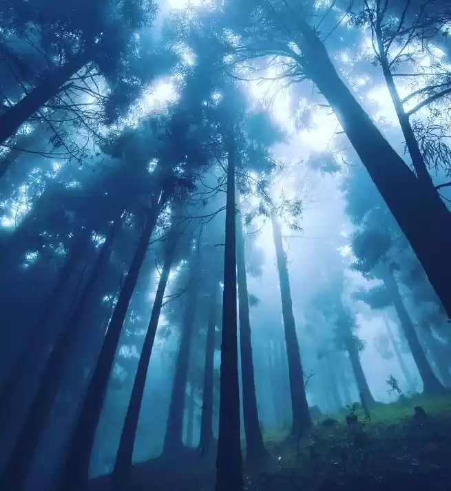 Photo of प्रकृति और रोमांच पस