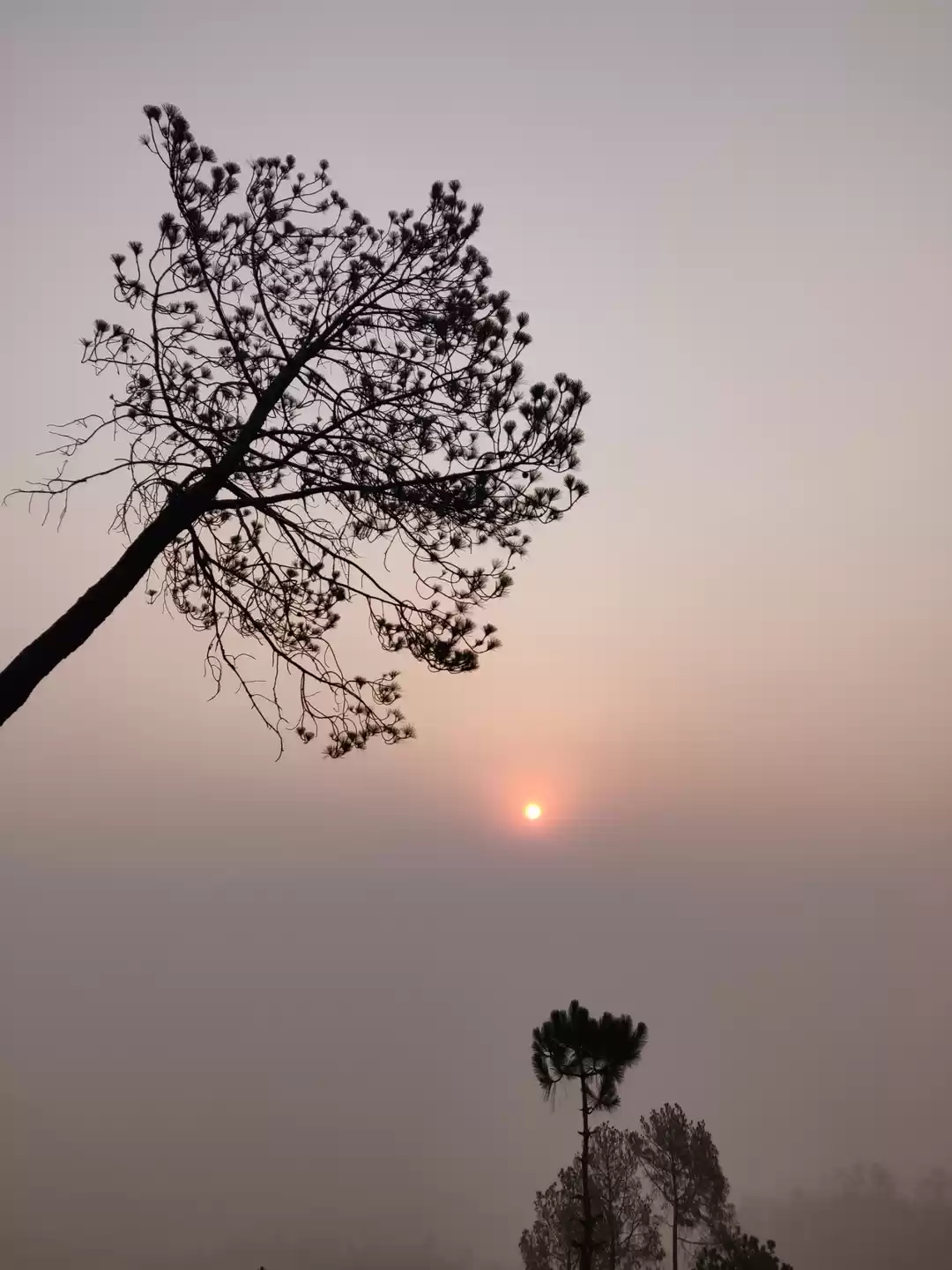 Photo of View from Abode ,maj