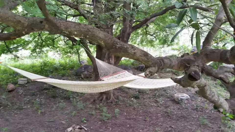 Photo of Staycation in this m