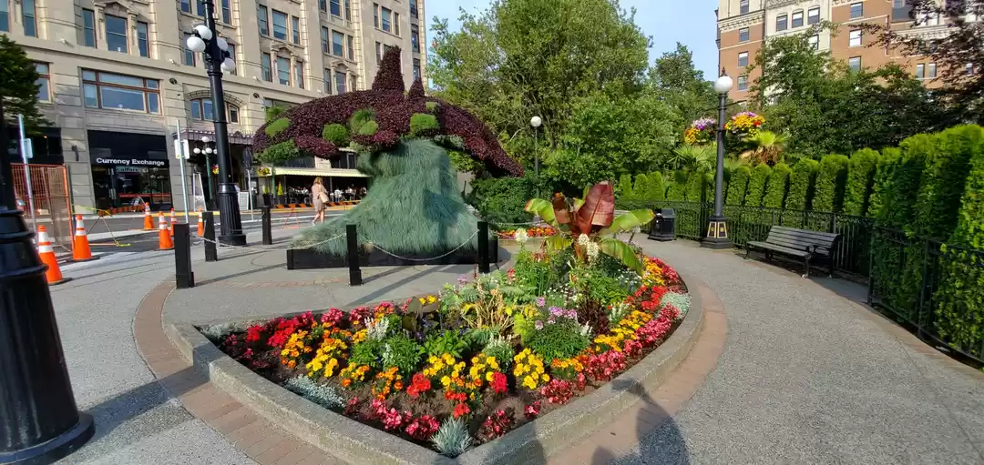 Photo of Victoria BC Trip