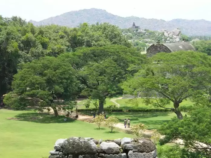 Photo of High on History: Gin