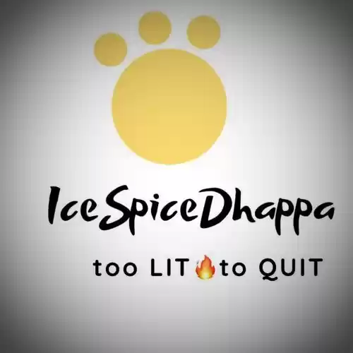 Photo of Ice Spice Dhappa