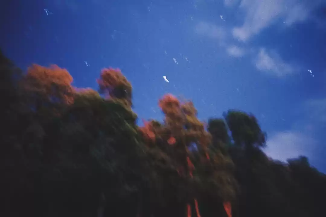 Photo of Camping our way thro