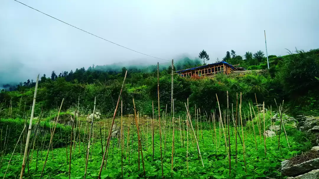 Photo of villag jakhol the mo