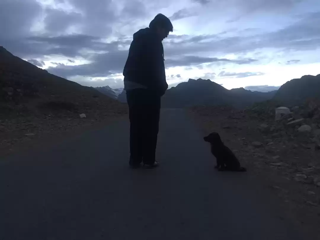 Photo of A trip to the land o