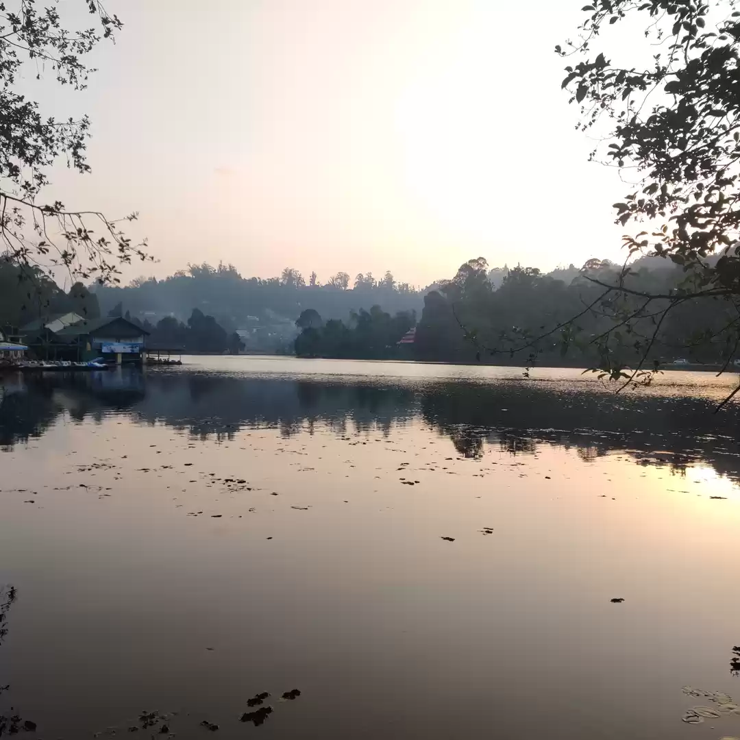 Photo of Amazing Trip