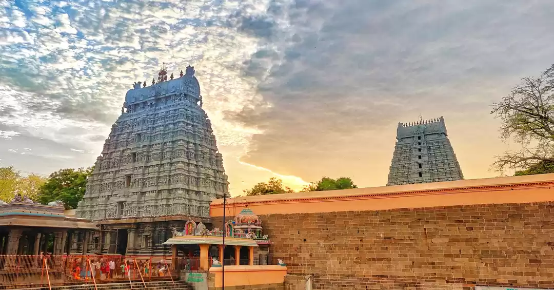 Photo of This is one of the t