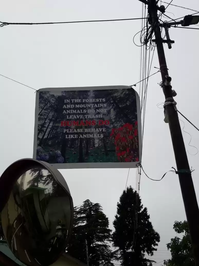 Photo of How to be sustainabl