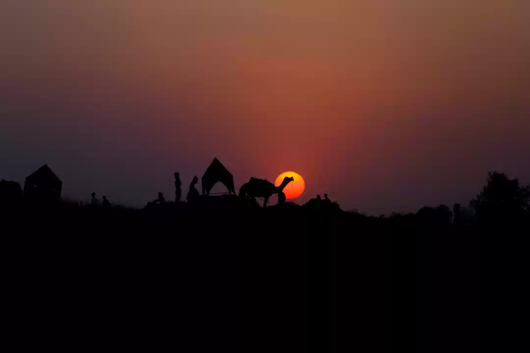 Photo of Pushkar Camel Fair 2