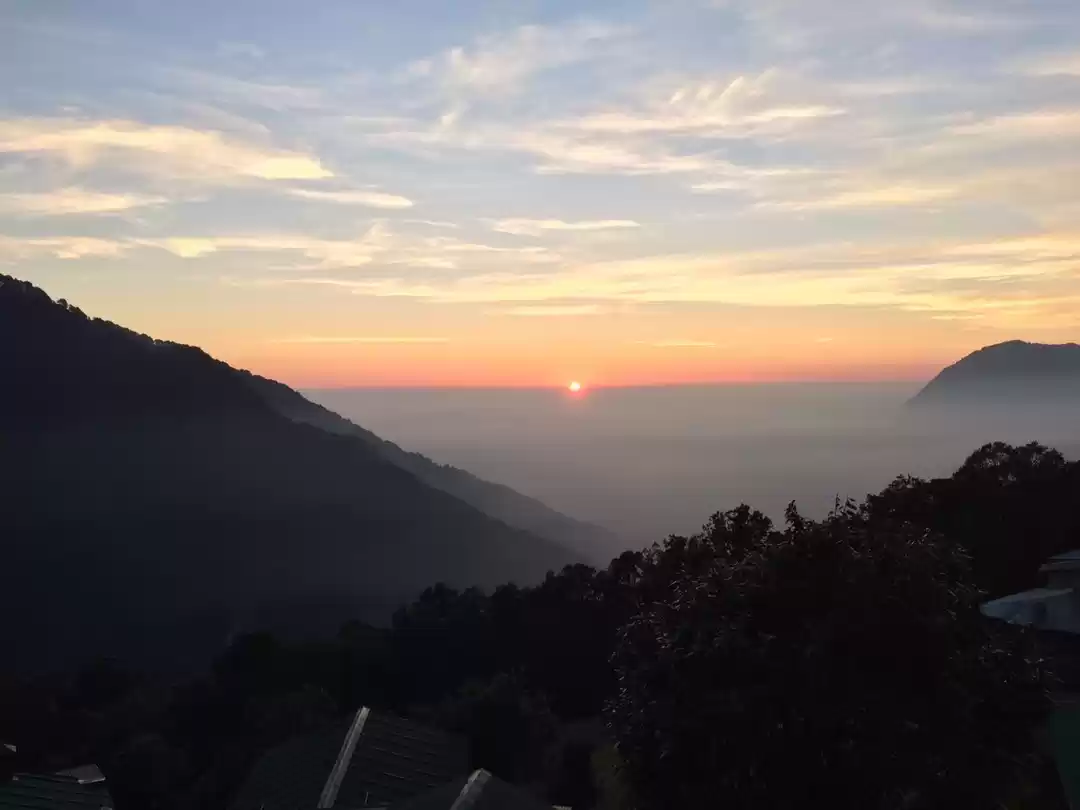 Photo of Pangot- A lesser kno