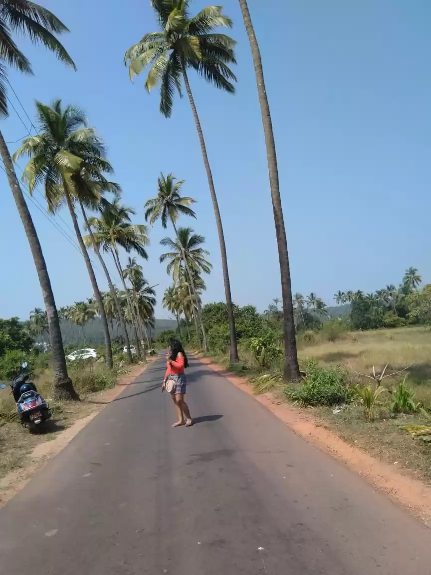 Photo of Go goa gone (wanderl