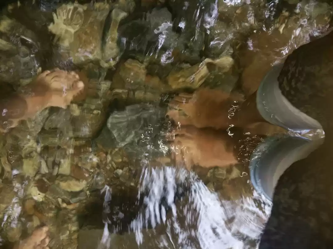 Photo of A Vacation By Accide