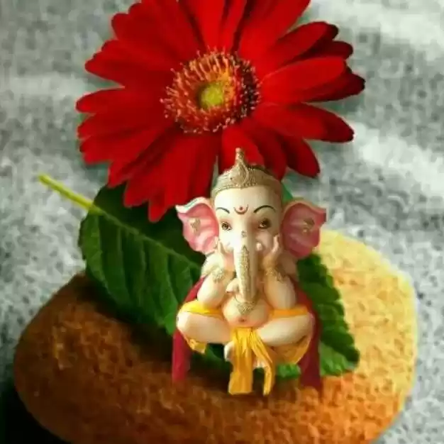 Photo of laksh laishetty