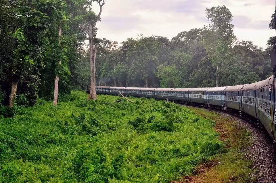 Photo of Train Journey To Doo