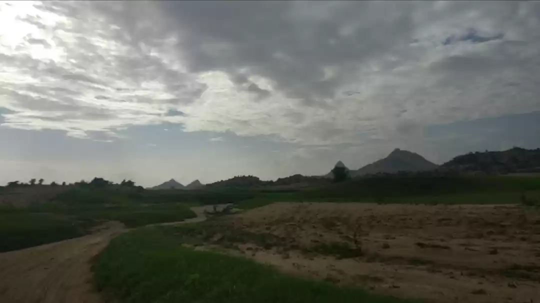 Photo of Leopards of Jawai Ba