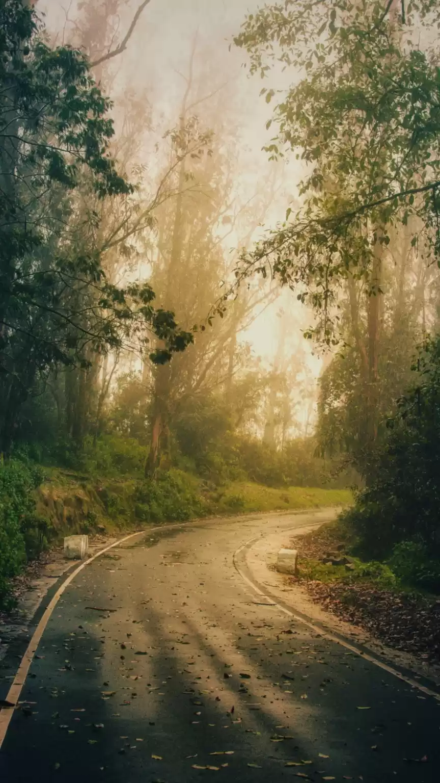 Photo of Enroute to Doddabett