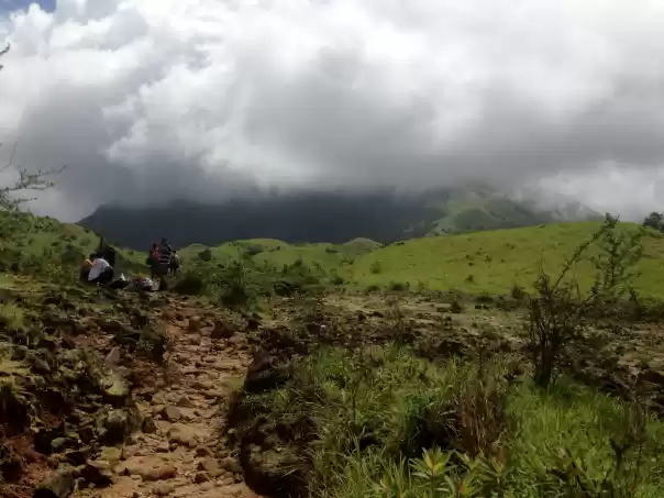 Photo of In search of Kartike