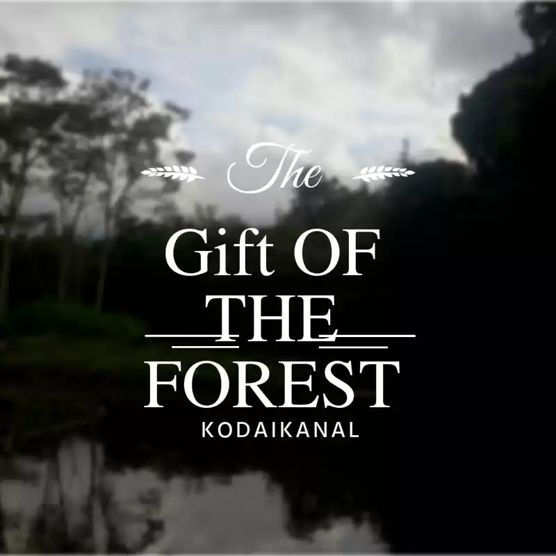 Photo of The Gift of the Fore