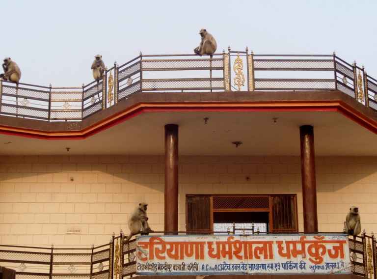 Mehandipur Balaji Temple Shree Hanuman Shrine In Dausa Rajasthan Tripoto Mehandipur balaji is another name of hanuman. mehandipur balaji temple shree hanuman