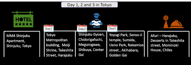 Photo of Sakura Viewing in Ja