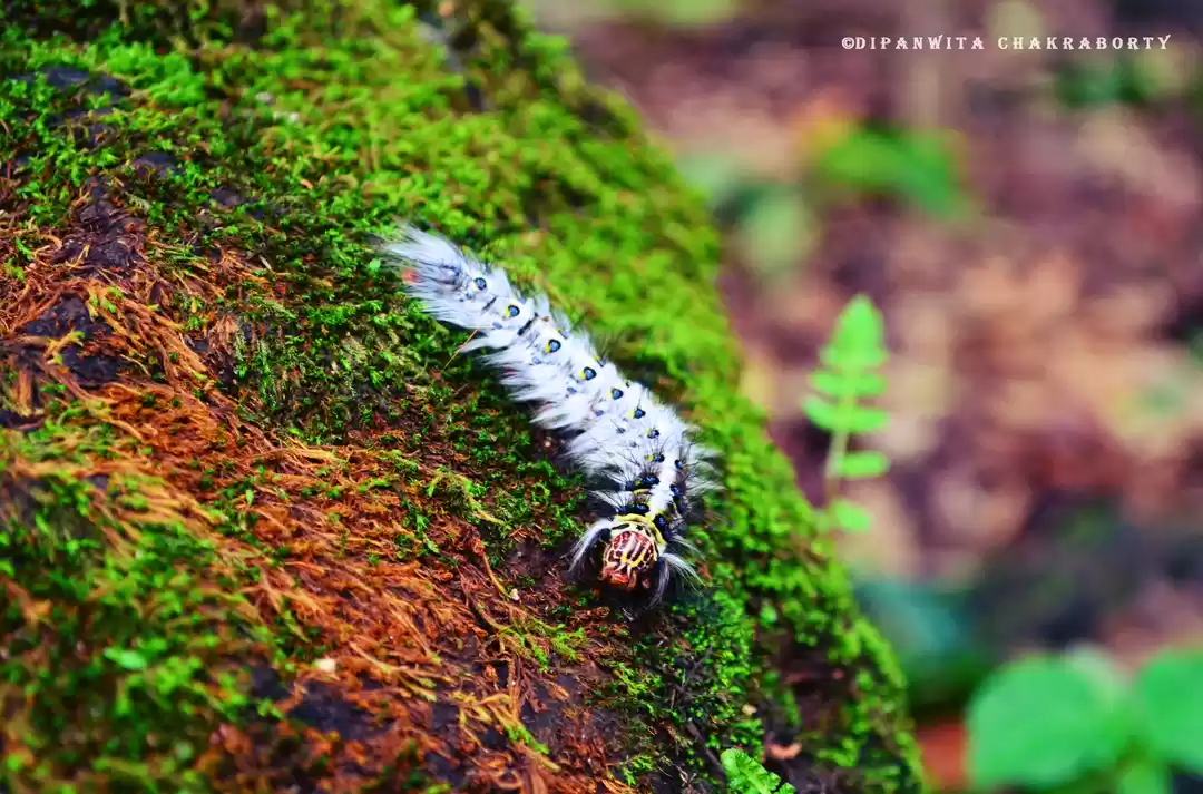 Photo of Mumbaikars, We Have