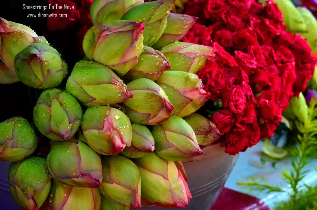 Photo of Mallik Ghat Flower M