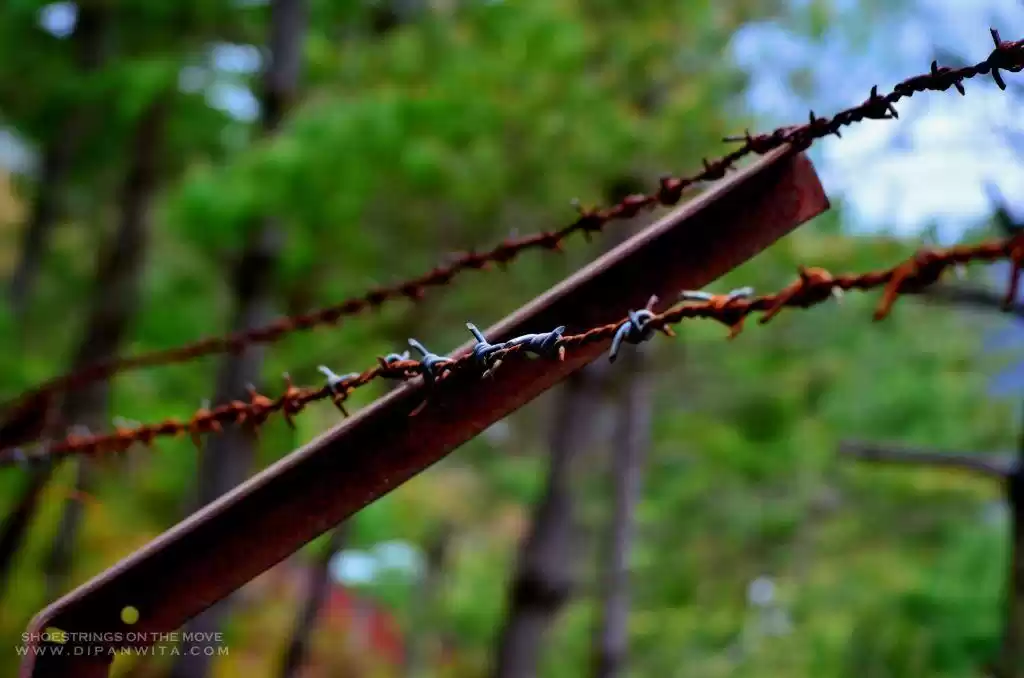 Photo of How I Stepped Into C