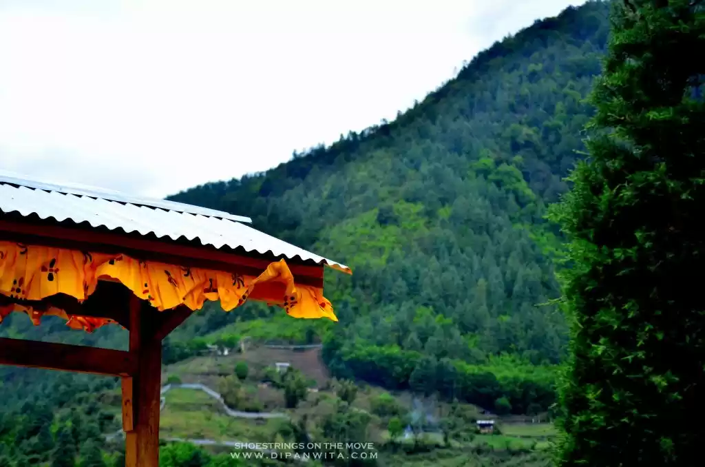 Photo of Sangti Valley - A Tr