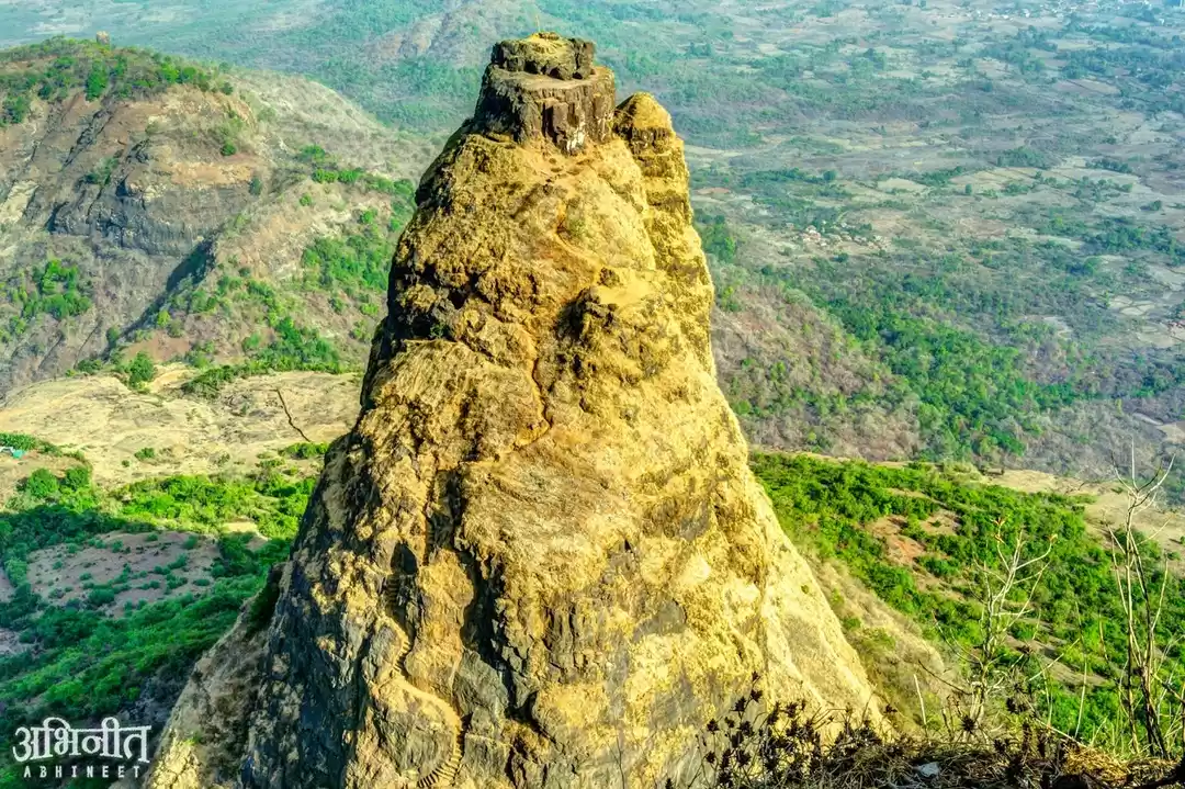 Photo of Happiness At The Pea