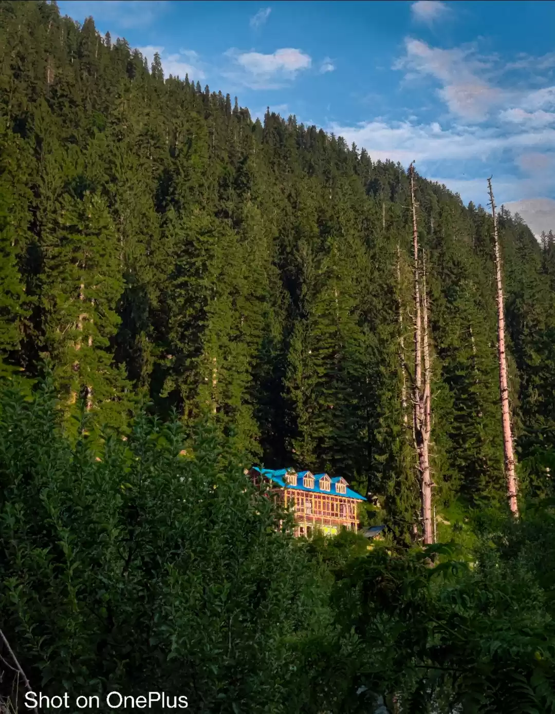 Photo of Rasol