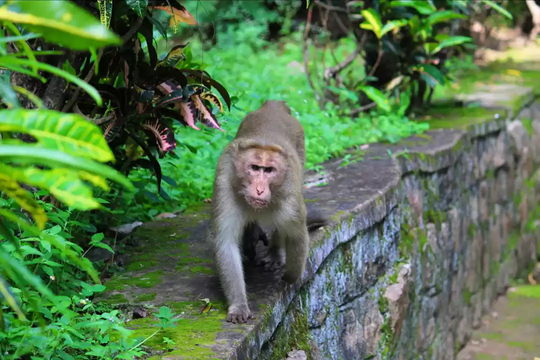 Photo of A trip to kallar Par