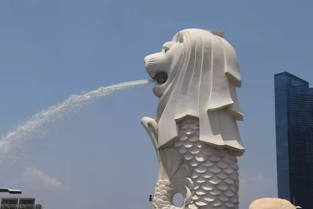 Photo of Singapore| A Trip to