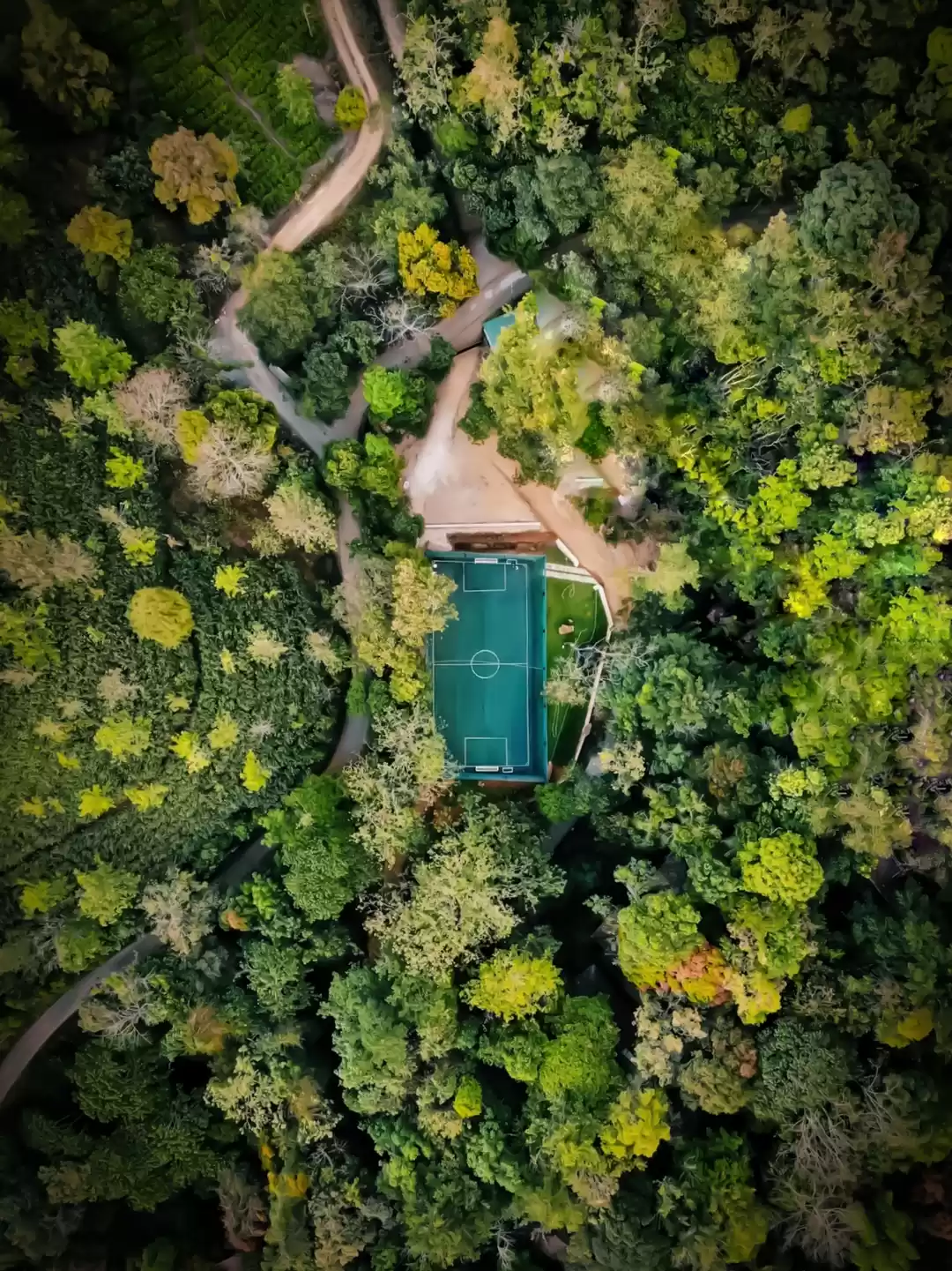 Photo of Beautiful football t