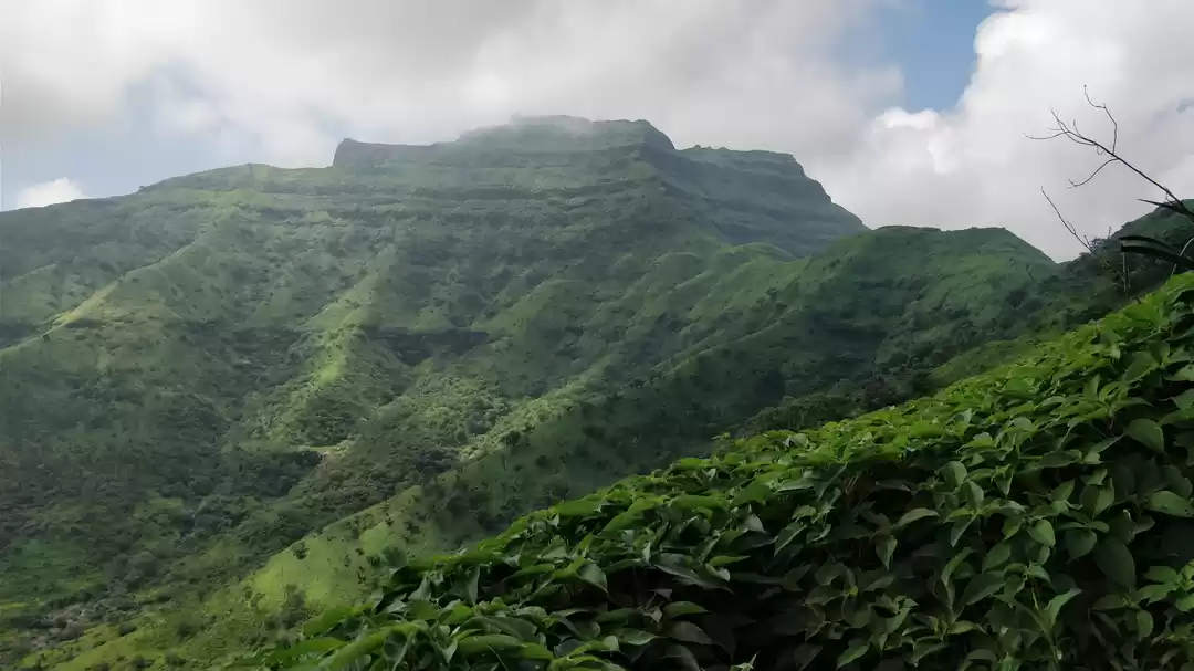 Photo of Scaling Torna Fort