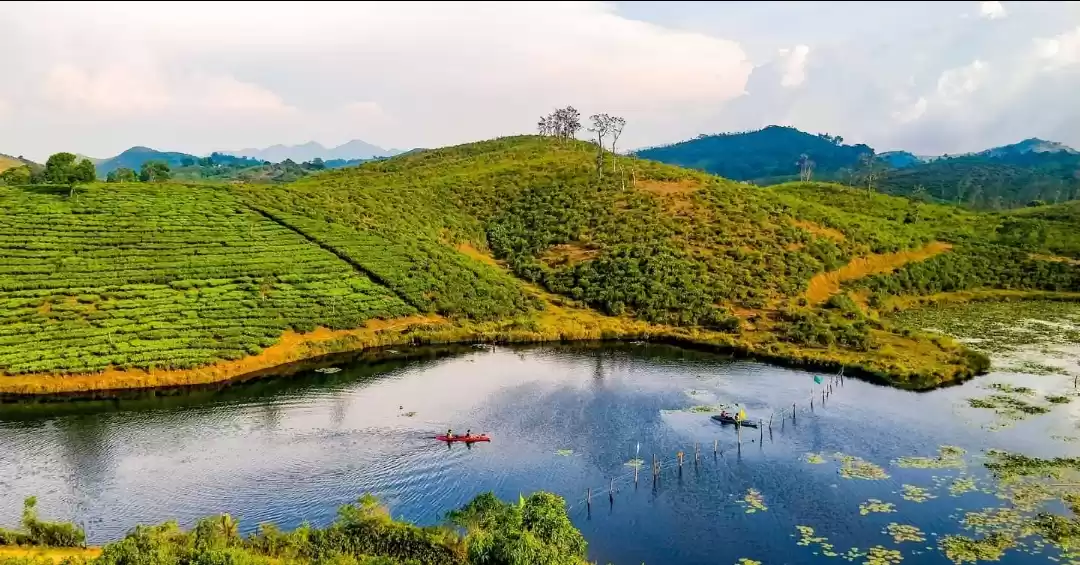 Photo of Vagamon Tea Lake Boa
