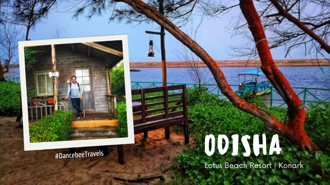 Photo of Exploring Odisha | S