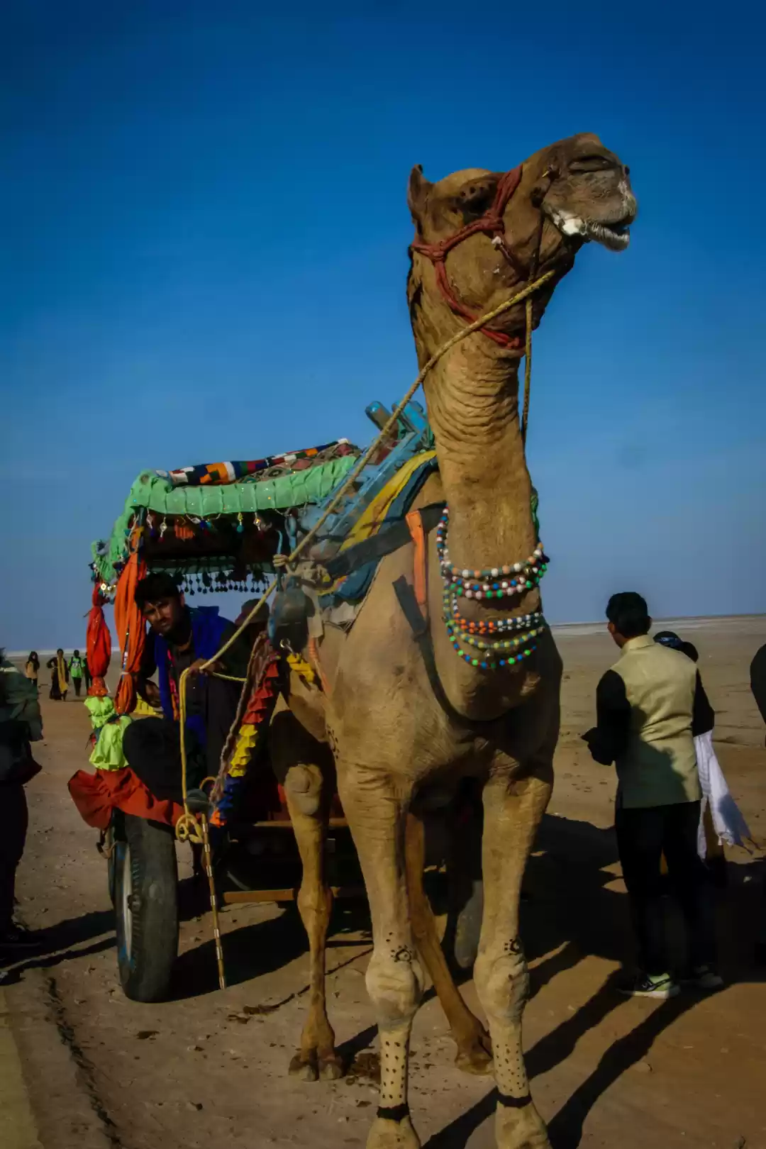 Photo of Padharo Mhare Desh: 