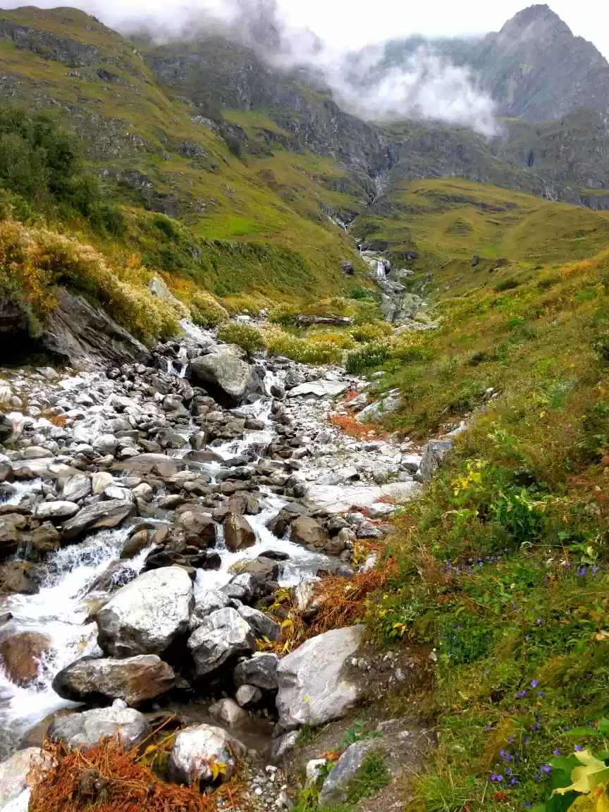 Photo of फूलों की घाटी: दूर त