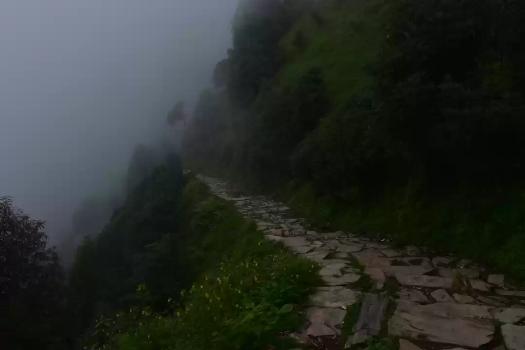 Photo of The walk towards hea