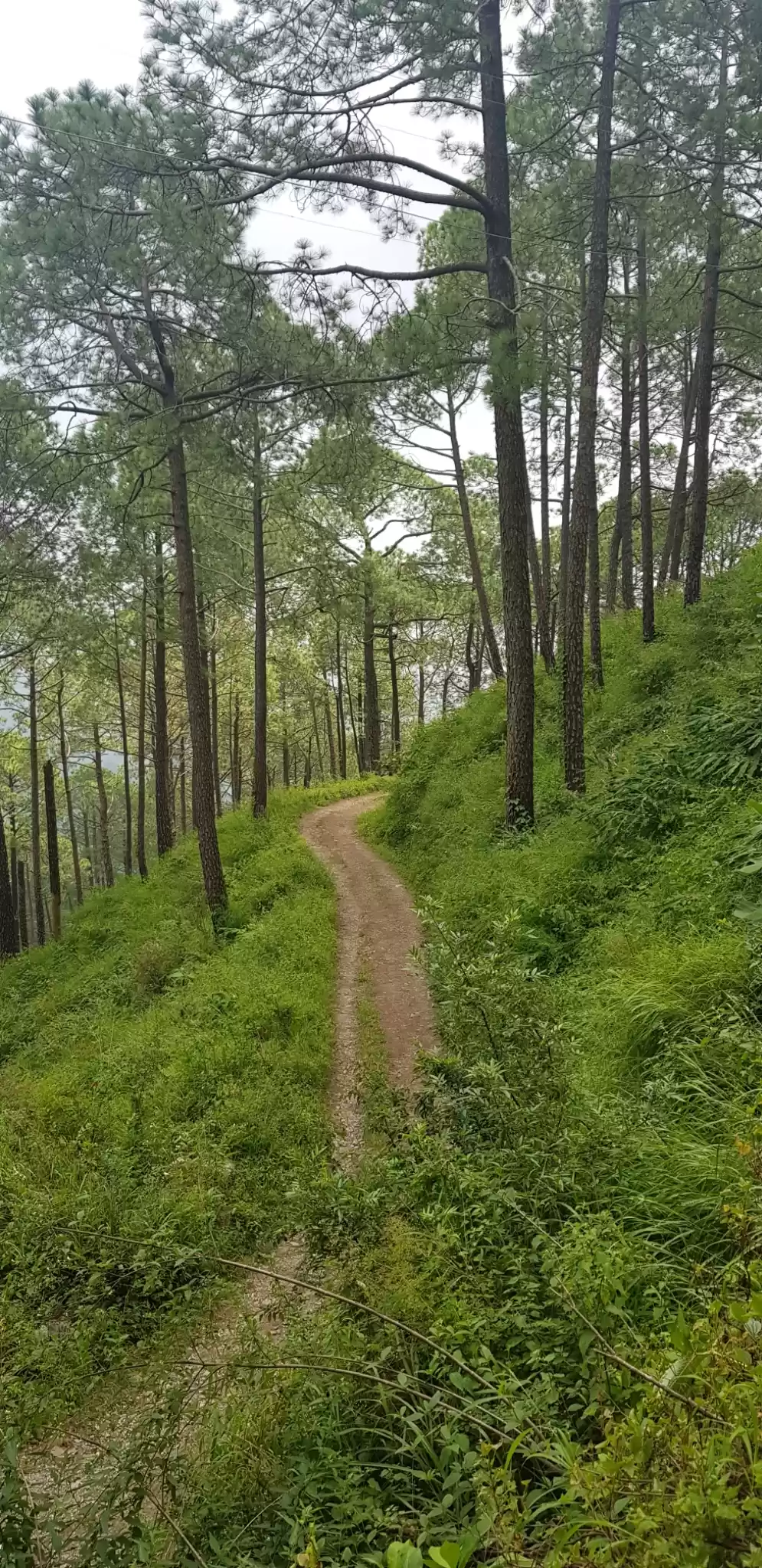 Photo of Roam and Relax - KAS