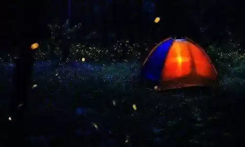 Photo of Magic Of Fireflies A