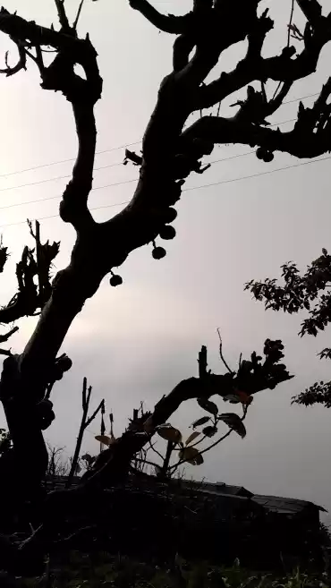 Photo of High Above, There's 