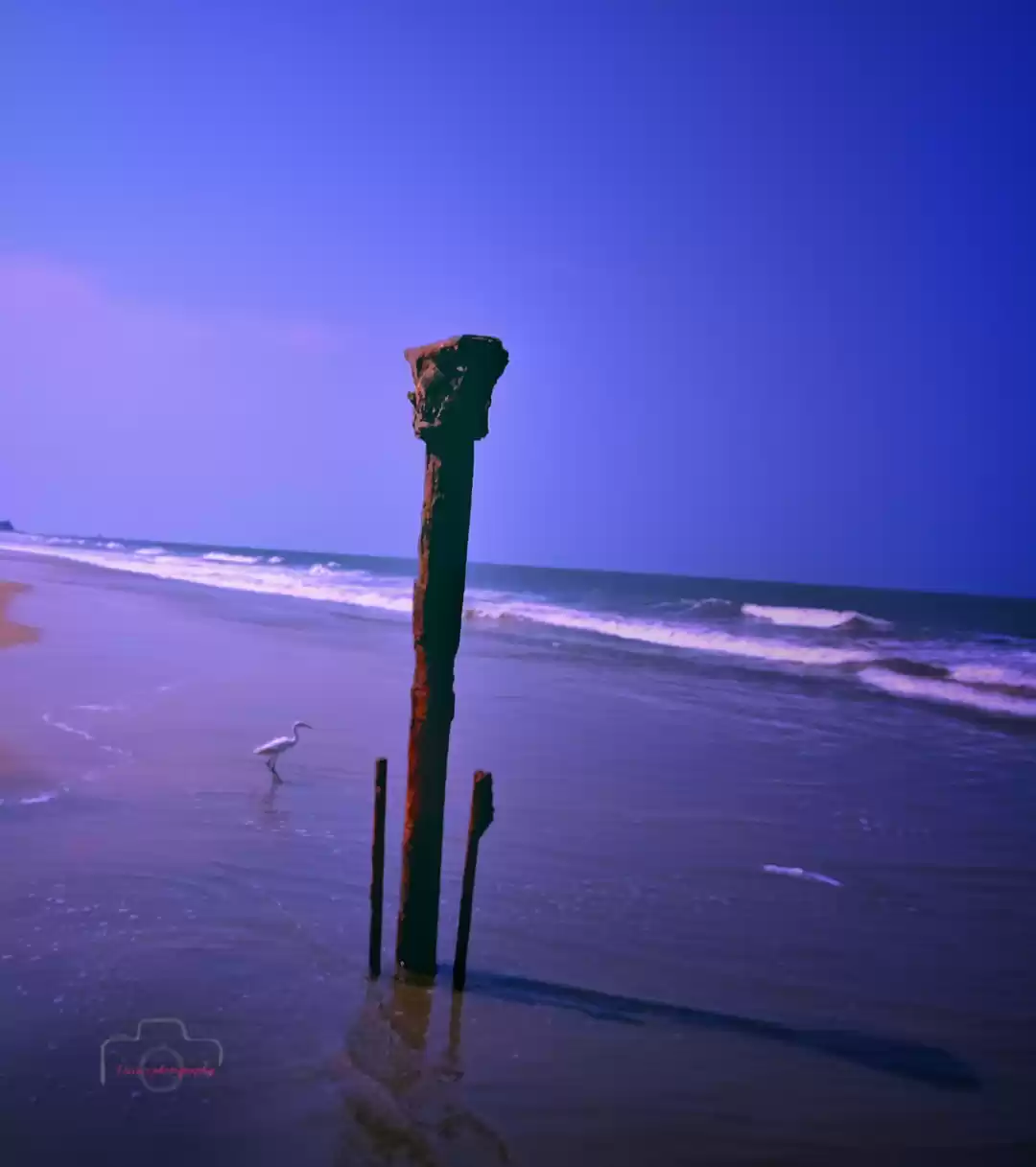 Photo of Calicut beach