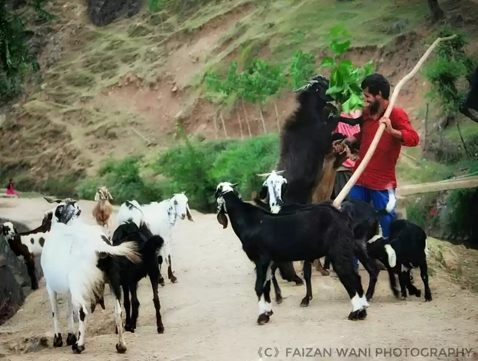 Photo of Trip to heaven kashm