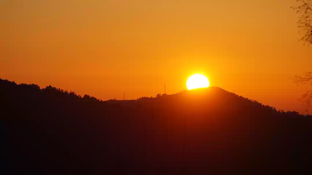 Photo of KUMAON SAFARI