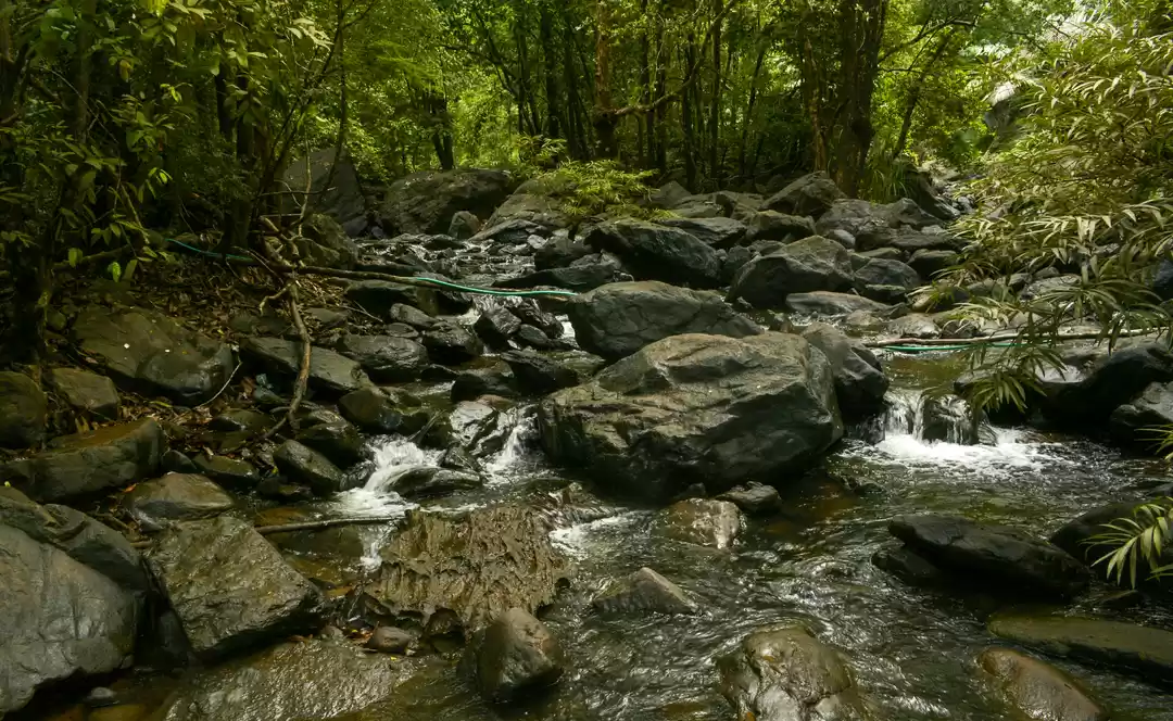 Photo of Have You Heard of Su